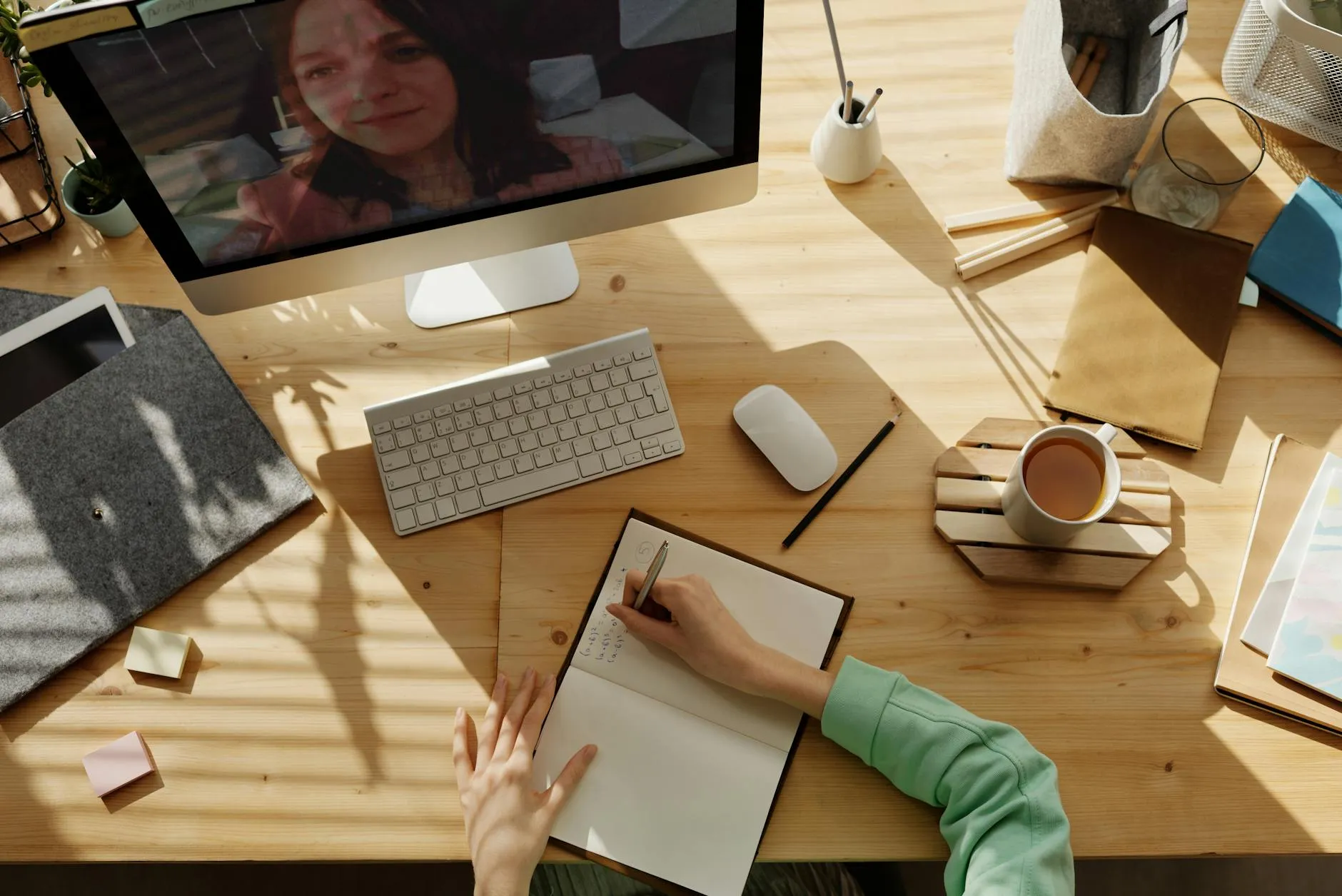 Online mentoring session